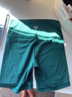 Aritzia Biker Shorts